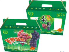 廣西土特產包裝代理|桂林超值的鮮花餅禮盒包裝供應