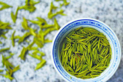 想要品质好的高山绿茶就来黄山市徽顶箬业，优质高山茶价格超低