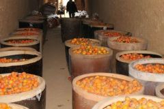 出售赵运华柿子醋 河南划算的赵运华洞藏柿子醋【供应】