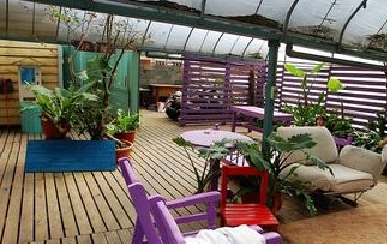 尾顶花园建设