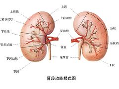曙光_专业的肾结石治疗机构，肾结石治疗价格范围