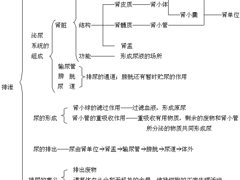 肾结石治疗费用_龙岩肾结石