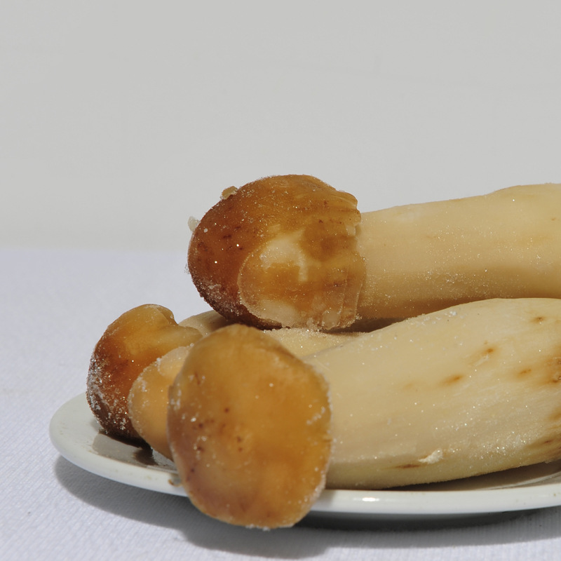 鸡枞价格—广东鸡枞批发