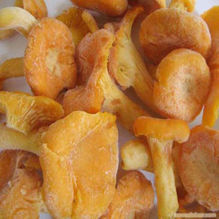 鸡油菌价格—云南省鸡油菌批发