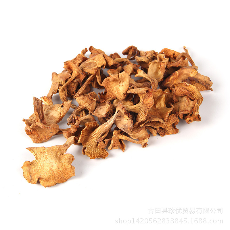 鸡油菌价格——四川鸡油菌批发