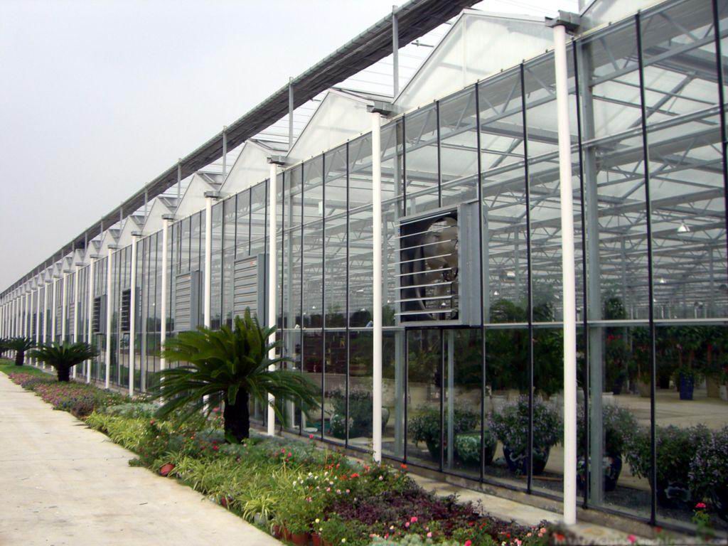 龙岩温室大棚/龙岩玻璃温室/龙岩蔬菜大棚/龙岩阳光板温室