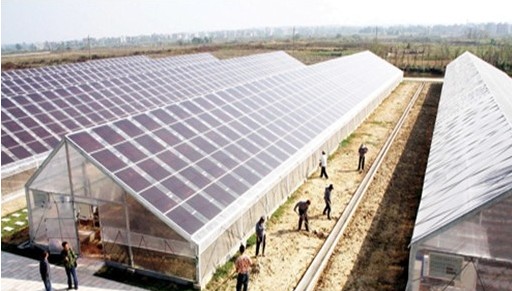 太阳能大棚太阳能大棚供应商