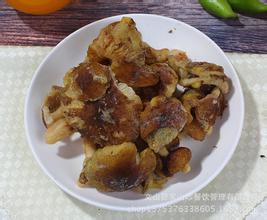 荞面菌价格——四川荞面菌批发