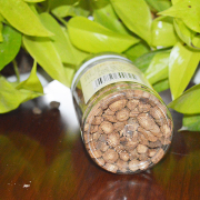 桂林口碑好的牛蒡茶低价批发|养生茶牛蒡茶