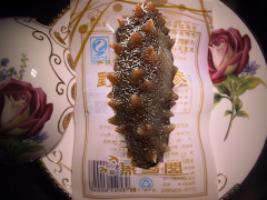 南宁哪里有大连海参|广西真空即食海刺参供应商推荐