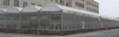 廣西哪家廣西蔬菜大棚廠好——南寧蔬菜大棚
