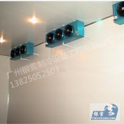 河源蔬菜冷藏庫:價位合理的蔬菜冷藏庫【供應】