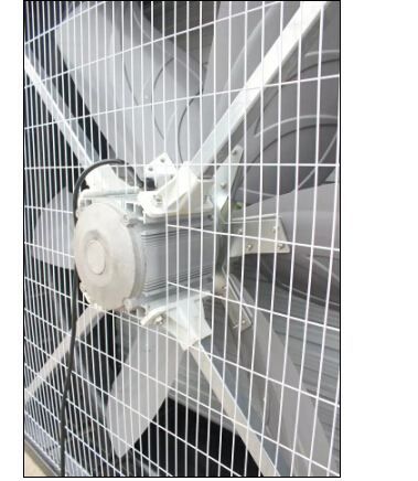 塑钢风机供应商:潍坊质量好的塑钢风机出售