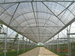 葡萄园种植哪家专业|酉阳土家族苗族葡萄园种植技术