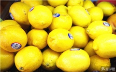 价格合理的苹果上哪买 供求苹果草莓柠檬荔枝