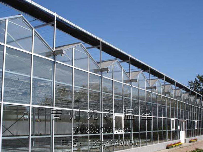 承建各种温室大棚——先科智能温室，连栋温室，花卉展厅温室等