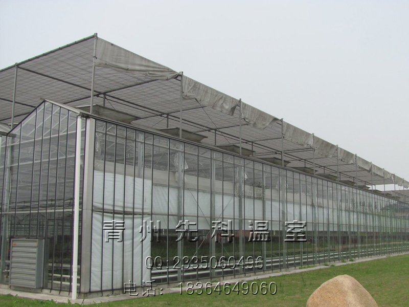 展厅温室大棚,花卉温室大棚,玻璃温室大棚—青州先科机械