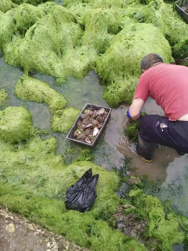 海尔兔子岛休闲垂钓游