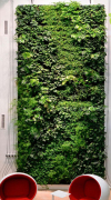 高仿真植物墙造价——假植物墙