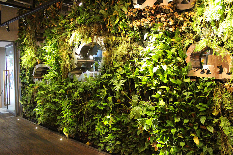 垂直绿化|立体绿化|墙体绿化|厦门垂直绿化植物墙-弈采园林