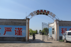 專業駕校|山西好的駕校招生考駕照推薦