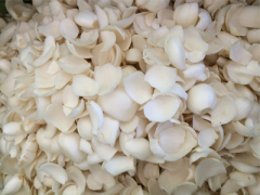 蘭州優惠的百合出售 白城百合加工廠