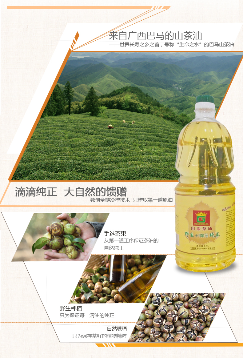 广西国康山茶油批发 健康野生山茶油（采摘-加工-配送一体化）