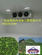 推荐一家专做茶叶保鲜冷库工程的建造厂家