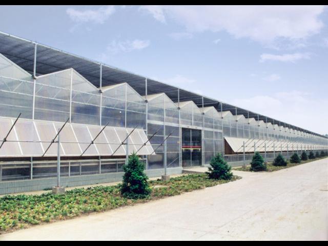 现代玻璃温室大棚 农业大棚长期供应