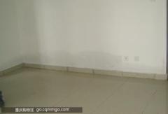 去哪找一流的防渗漏专项检查_防渗漏专项检查价位