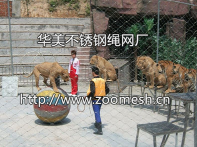 不锈钢扣网|具有口碑的装饰扣网提供商，当选华美