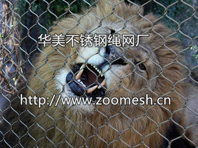 钢丝绳豹子围网 现在有品质的虎狮豹围网价格行情