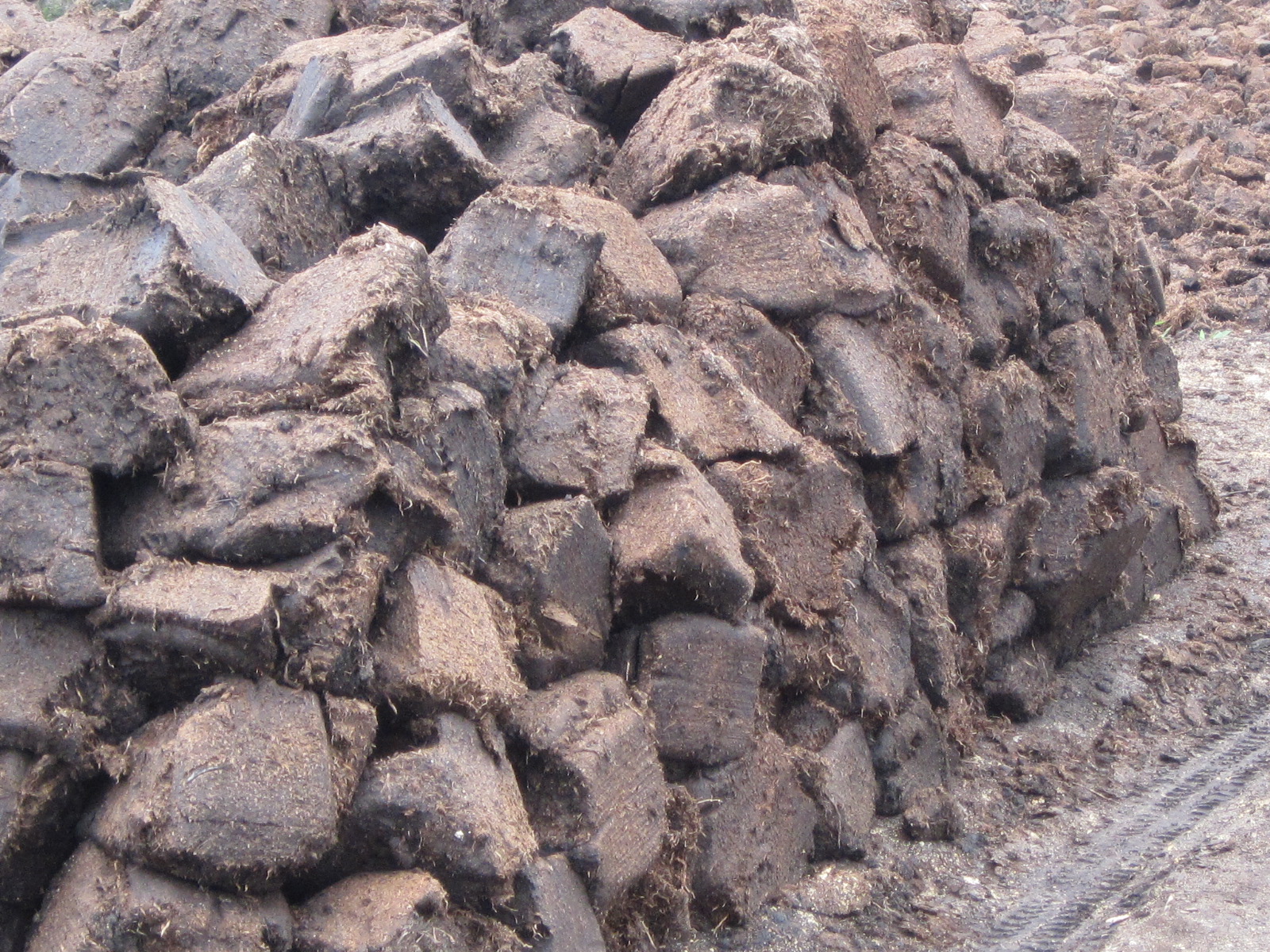 安徽气雾培，黑土农科供应实惠的泥炭土