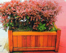 高品质花坛围栏推荐_福建围栏