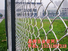超值的菱形勾花网就在慕涛五金丝网厂|鹤岗冷镀锌菱形网