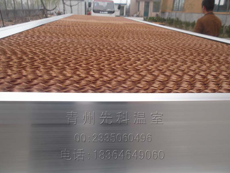 青州先科温室降温系统风机湿帘（水帘）使用