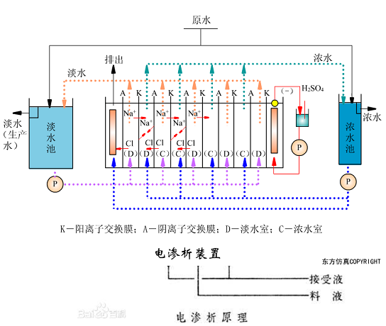 电渗析 