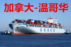 广州令人满意的海运双清公司：深圳海运双清