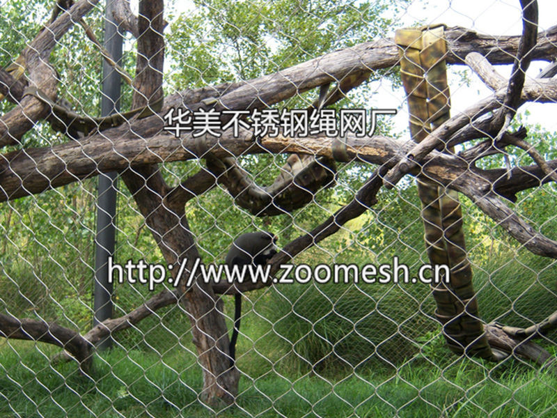 小猫科动物围网新资讯|小猫科笼舍