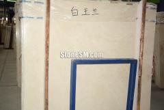 上哪買優質的白玉蘭,口碑好的白玉蘭批發