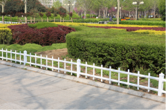 福建草坪護欄批發商|廈門別墅護欄