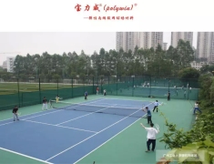 廣州地區優質寶力威丙烯酸球場地面涂料:優質的環保球場地面材料