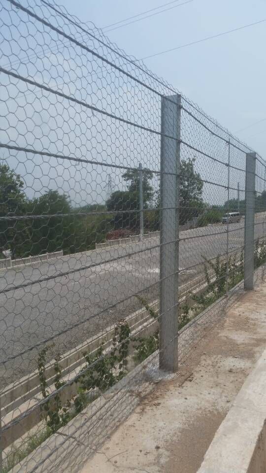 安徽刚性防护网|实用的刚性防护网推荐