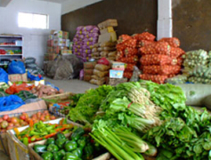 五八零餐飲管理專業的福建糧油肉菜配送推薦_福建學校食堂承包