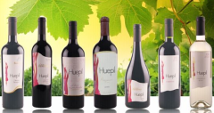 温州红酒批发市场，加盟优选瓦帕葡萄酒