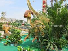 有哪些恐龙清单可以出租,博一给您更多选择