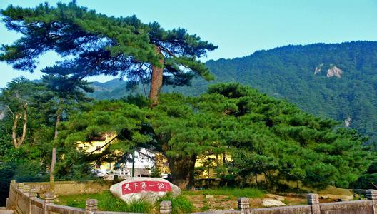 宝中旅游提供合格的国内游服务，闻名全国  ——专业的泉州到安徽九华山旅游
