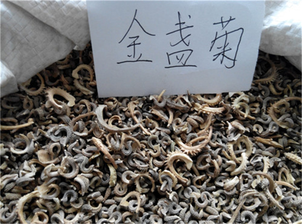 供应金盏菊种子-青州市文霖花卉苗木种植专业合作社-书生商贸平台